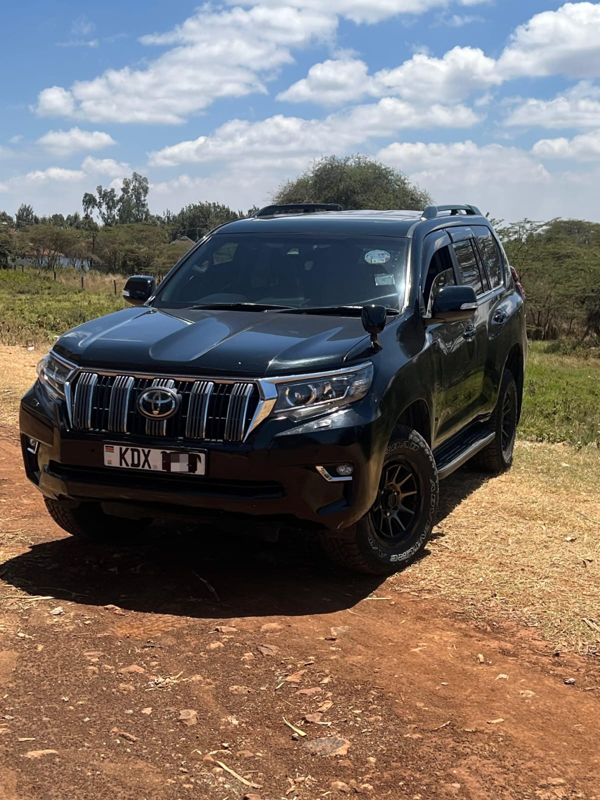 Toyota Prado - Premium SUV